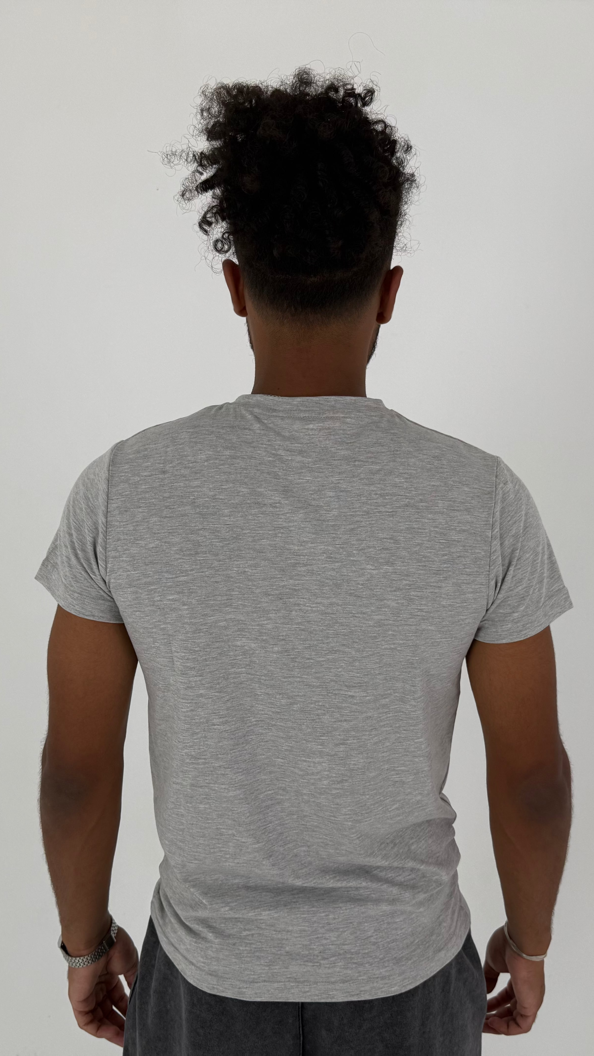 SLIM FIT SILVER T-SHIRT